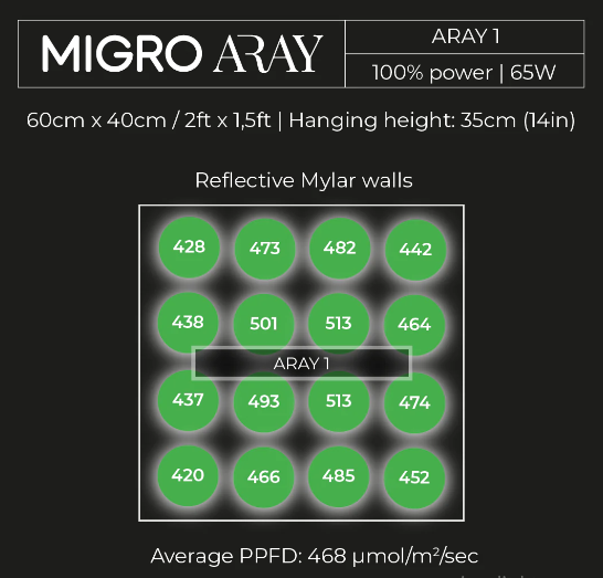 MIGRO ARAY 1 (65W)